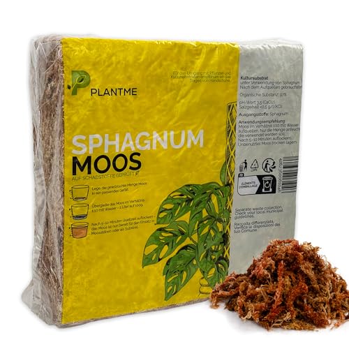 PlantMe Sphagnum - Musgo para plantas de interior y enredaderas (1000 g)