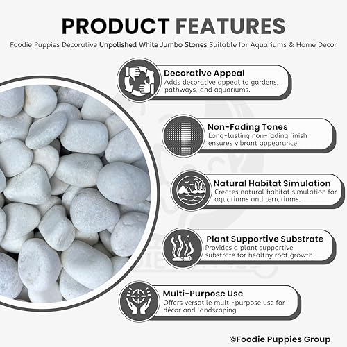 Image of Foodie Puppies Unpolished White Decorative Stones (5Kg, Jumbo Extra Large) (8cm - 12cm) for Garden Landscaping, Swimming Pools, Fish Tanks, Home Decor, Indoor & Outdoor Decorative Pebbles
