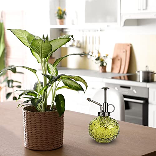 Spuitfles van glas, plantensproeier, vintage plantenspuit, gieter voor vetplanten, gietfles met pomp, plantenspray van glas voor tuinplanten (groen) - Afbeelding 5