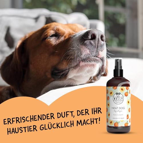 Belly® Hundeparfüm – Duftspray für Hunde & Welpen – Parfüm für Hunde mit fruchtigem Pfirsich – Spray gegen Geruch – pH-neutral – Fellpflege & Hundepflege – 250ml