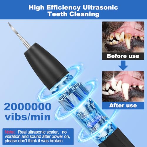 Image of Dog Plaque and Tartar Remover,Dogs Teeth Cleaning Kit with Led Light | 3 Modes Dog Tooth Plaque Remover,Canident-Sonic Tooth Cleaner for Dogs and Cats,Low Noise Ultrasonic Pet Teeth Cleaner,Black