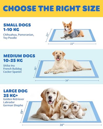 Image of Powools 300-Pack X-Large Puppy Pads - 34'' x 28'' Pee Pads for Dogs Potty Training with Leak-Proof Quick-Dry Design, 6-Layer Wee Wee Pads for Dogs, Blue