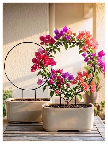 Bombay Greens Round Metal Trellis Climbers Support Stake for Plants | Iron Garden Money Plant Climbers & Plant Support Stick | Rust Resistant Plant Support Ring for Indoor & Outdoor Garden – Pack of 2
