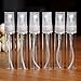 YUFENG 6PCS Clear Crystal Glass Perfume Atomizer Spray Bottle Empty Refillable Sample Bottle for Essential Oils Travel Cleaning(5ML)