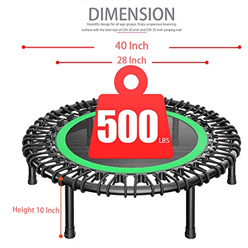 DARCHEN 450 lbs Mini Trampoline for Adults, Indoor Small Rebounder Exercise Trampoline for Workout Fitness, 450 lbs Max-Load Bungees for Quiet and Safely Cushioned Bounce, 40 Inch Gym Trampoline