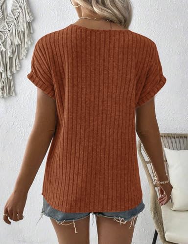 Image of LURANEE Womens Short Sleeve Sweaters V Neck Tops Lightweight Dressy Casual Shirts Work Blouses S-XXL