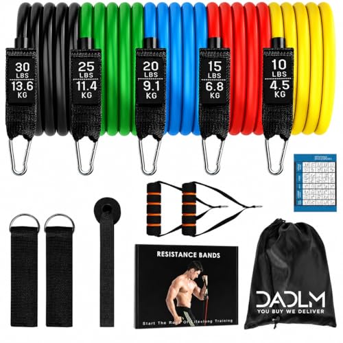 Image of DADLM Resistance Bands Set for Exercise, Stretching and Workout Toning Tube Kit with Foam Handles, Door Anchor, Ankle Strap and Carrying Bag Set of 11 in 1 for Men,Women