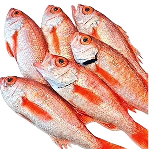 ノドグロ 6尾セット 1尾 約200g以上 新潟 日本海産 高級魚 アカムツ 新鮮 真空 急速冷凍 冷凍 魚介類 日本海 新潟産 国産 松竹梅 新発田 魚介 年末 推し[竹]