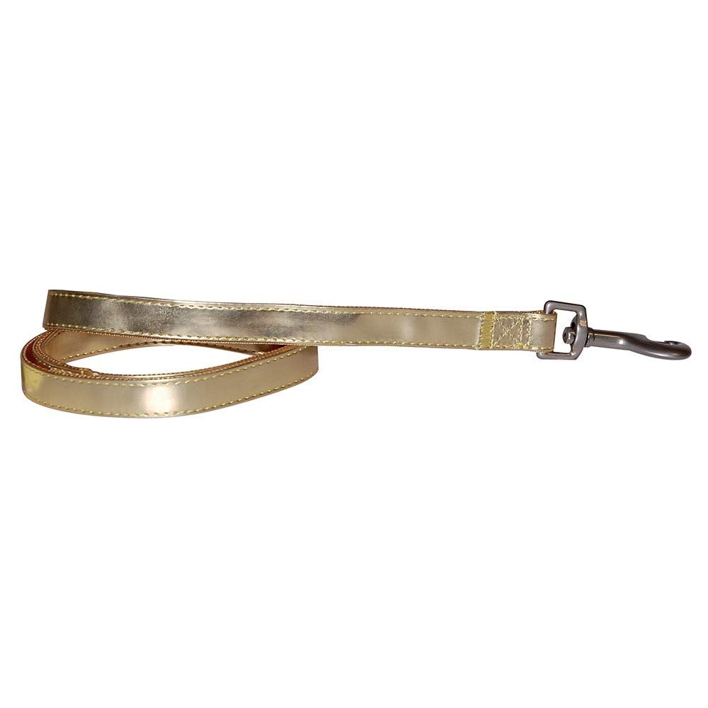 Laisse pour chien Paris or largeur 20 mm pour grand et moyen chien