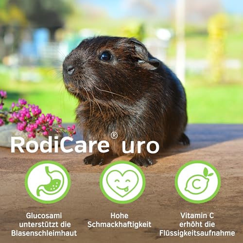 alvafet RodiCare URO, 3er Pack, Ergänzungsfuttermittel zur Verringerung der Harnsteinbildung für Kaninchen, Meerschweinchen und Kleinnager, 3 x 20ml, Dosierspritze