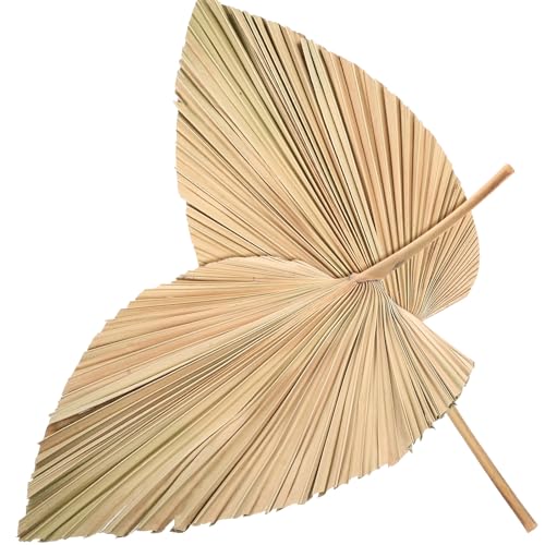 2 hojas de palma secas para decoración rústica boho miniatura 1