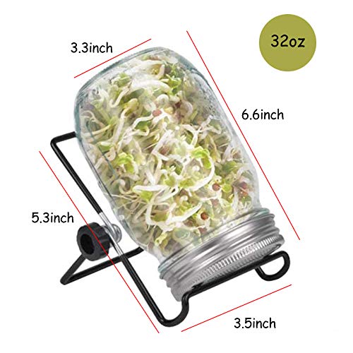 Sprouting Jar Kit, Wide Mouth Quart Mason Jars with Screen Sprout Lids & Stand, Seeds Germination Growing Kit, Seed Sprouter Set for Growing Organic Broccoli Alfalfa Mung Microgreens Bean (1Pack) by DOUBLE 2 C - Image 4