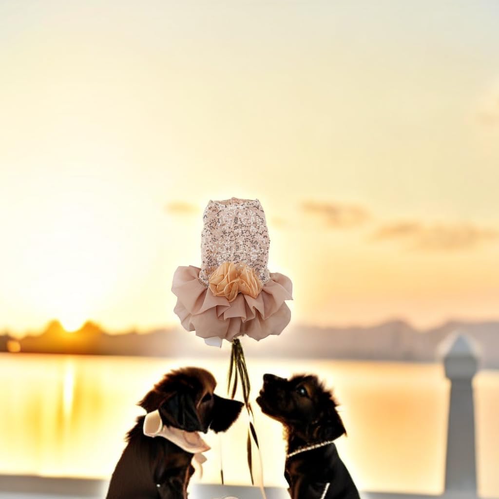 Abito da sposa per cani con paillettes e gilet in pizzo tutu XL oro
