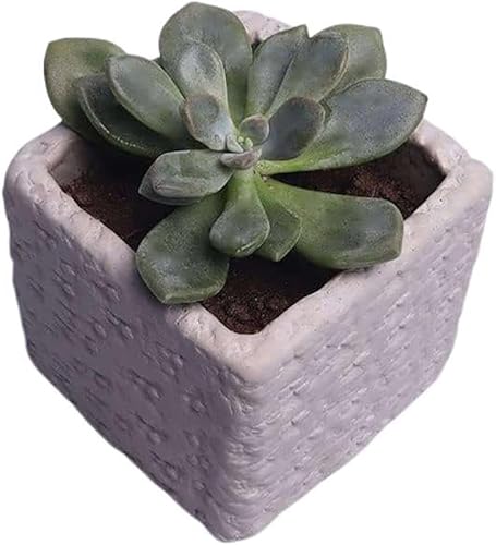 Molde de silicona en forma de cubo de hormigón con superficie de borde desigual para maceta, molde de silicona para maceta, plantas cuadradas