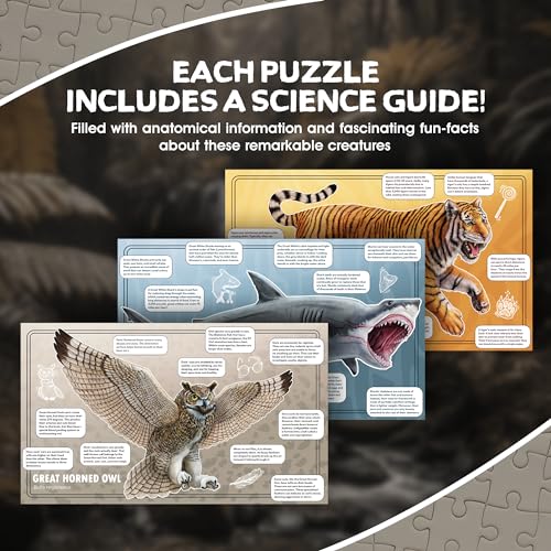 Tiger, Shark and Owl Animal Anatomy Floor Puzzle | 100-Piece Double Sided Jigsaw Puzzle | Scientifically Accurate Illustration - Fun and Educational Toy for Kids and Toddlers (Tiger, Owl, and Shark) - Image 6