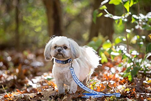 Pets First DU-3031-LG Ncaa Pet Leash, Large thumb #3
