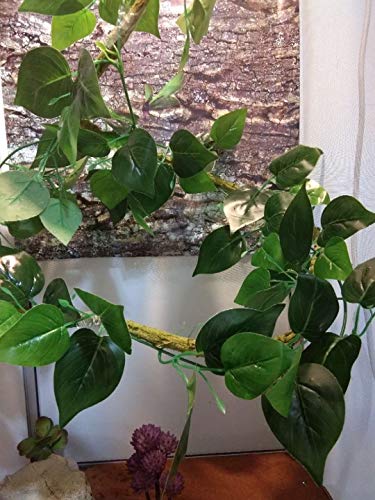 KERUIDENG Reptile Plants - Vines for Reptiles and Amphibians- Terrarium Plants -6.8ft