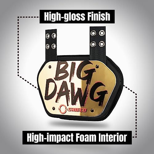 O Shield Big Dawg Golden Chrome Football Back Plate, Lower Back Pads For Football, Youth #TOP2