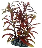 Hobby 51570 Nesaea, 13 cm