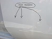 Review Image by Vinny The Review Dog Vinny The Review Dog