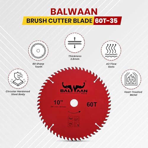 Balwaan Krishi Brush Cutter Blade 10 Inch - Image 4