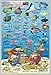 Cayman Islands Reef Creatures Guide Franko Maps Laminated Fish Card 4"x6"