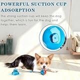 Hundespielzeug mit Saugnapf Hunde Molar Hundebeschäftigung für Zuhause Spielzeug Hunde Beschäftigung, Kauseil Ball Spielzeug Selbstbeschäftigung Hund Zahnbürste Spielzeug für Kleine Mittelgroße Welpe