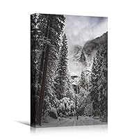 Canvas Wall Art Winter Trees Cool Dramatic Forest Multicolor Nature Photography Rustic - 12x18 inches