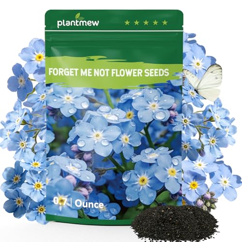 5600+ Forget Me Not Seeds for Planting Easy to Grow Blue Forget-Me-Not Flowers Perennial Wildflower Seeds for Ground Cover Borders & Pollinator Gardens