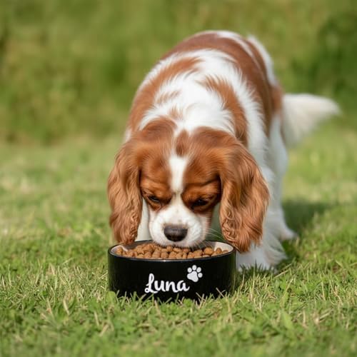Hundenapf personalisiert aus Keramik M 900ml Schwarz – rutschfest, leicht & hygienisch – Futter- & Wassernapf mit Namen für kleine Hunde & Katzen