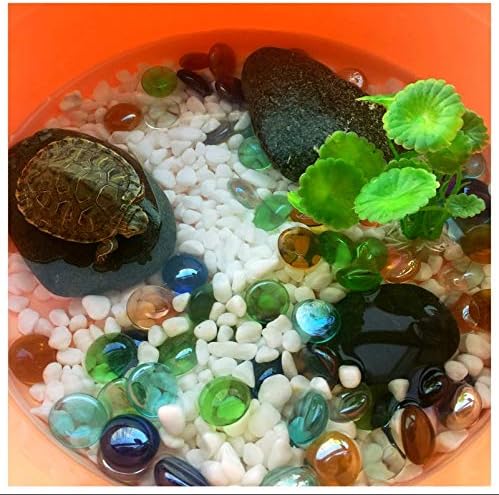 Miniatura 6 de Briliant Shop Canicas de guijarros planos, piedras preciosas de vidrio de 3 libras para rellenos de jarrones, dispersión de mesa de boda, decoración