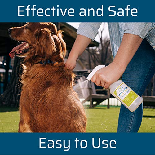 Wondercide - Pet Parent Kit for Dogs and Cats - Flea, Tick, Mosquito Control Spray Pack with Natural Essential Oils - 16… - Image 4