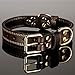 Genuine Leather Dog Collar with Alloy Buckle and Double D Rings (Large, Brown)