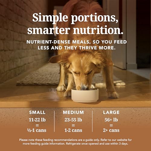 Image of K9 Natural - Canned High Protein Grain-Free Wet Dog Food Pate