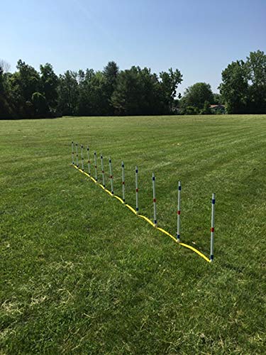 The Dog Agility Shop Set of 12 Weave Poles, Dog Agility Training Equipment for Dogs - image 3