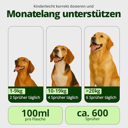 NUTRIMINS Dentalspray für Hunde 100ml – Speziell für Hunde entwickelte Zahnpflege, hergestellt von Experten in Deutschland – Sanftes Zahnspray zur Unterstützung bei Zahnbelag, Mundgeruch & Zahnstein