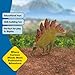 schleich Dinosaurs - 8” Stegosaurus Figurine with Realistic Bony Plates and Spiked Tail - Dinosaur Toy for Screen-Free Fun - Jurassic Animal Figure for Educational Play - Kids Ages 5+ | 15040