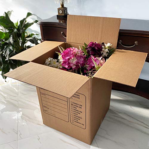 https://m.media-amazon.com/images/I/51FzLcfdxeL._SL500_.jpg