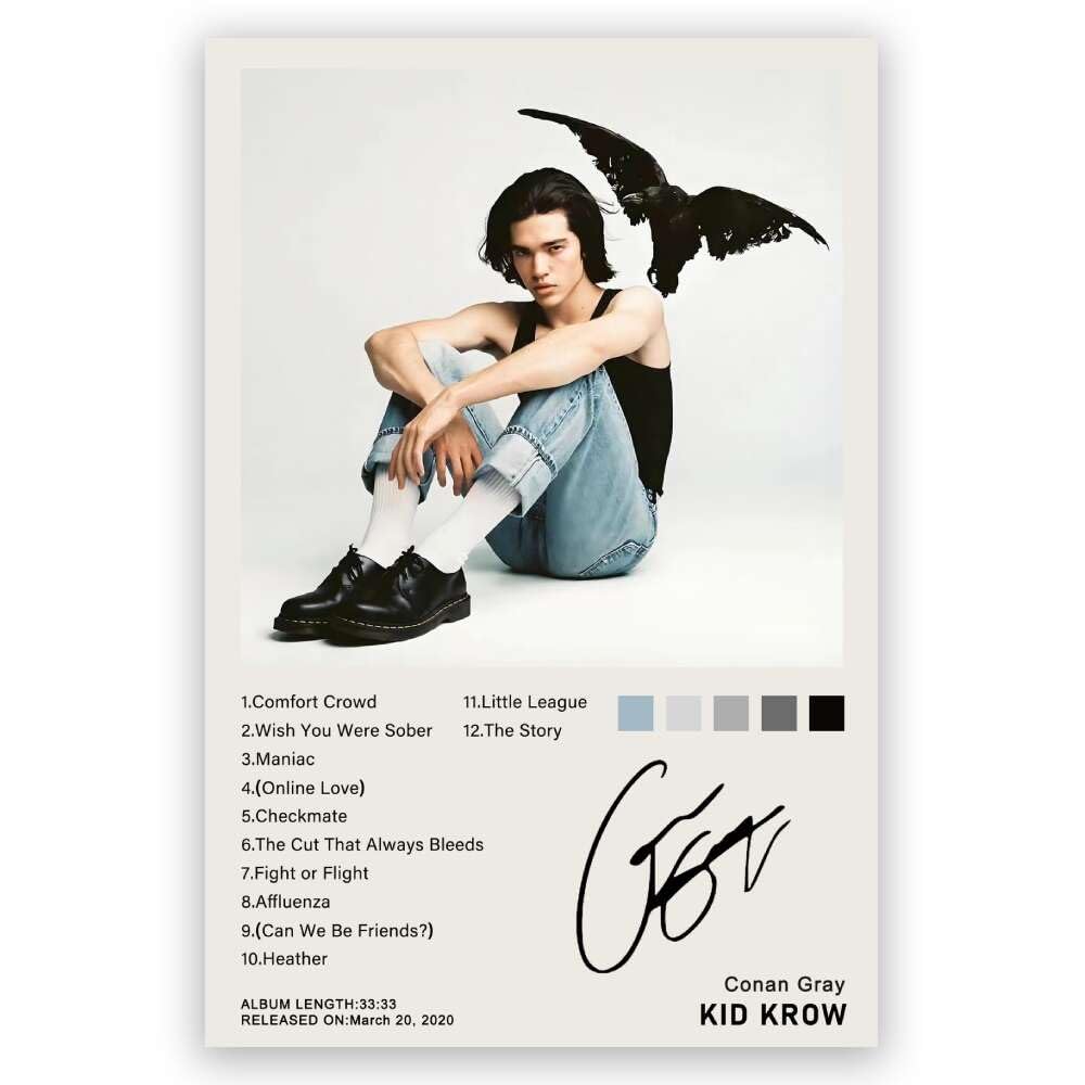 Amazon.com: RXlinquial Kid Krow Albums Poster Conans% Posters