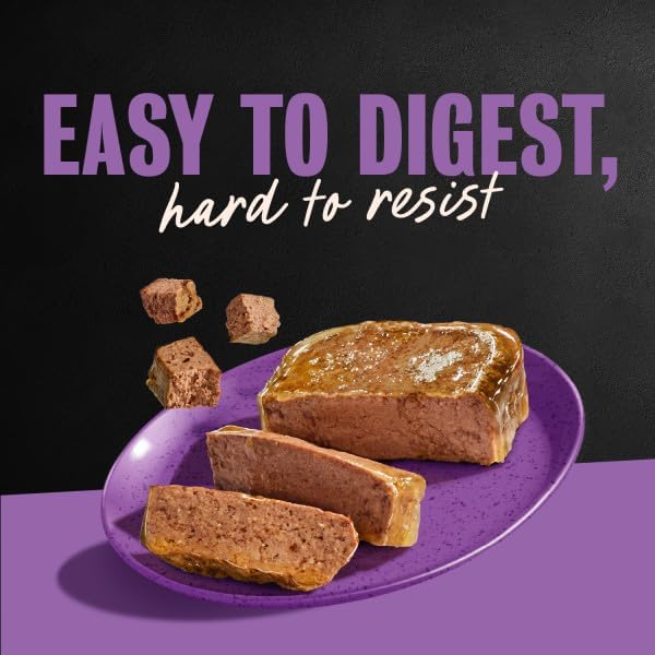 Cesar Classic Loaf in Sauce Wet Dog Food, Meaty Selects, 3.5 oz, 36 Count — view 11