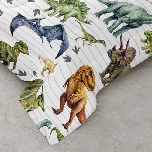 Image of QOOMO Cartoon Dinosaur Comforter for Girls Boys Jurassic Duvet Set Black Animal Bedding Set Twin Size with 2 Pillow Shams Lightweight Microfiber for All Seasons