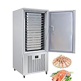 Kolice Commercial 220V 60HZ US 15 Trays Cakes, Hard Ice Cream, Chicken and Fish Blast Chiller, Blast Freezer, Chest Freezer, Batch Freezer for Restaurant, Hotel, Catering Companies