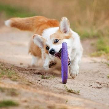 collar puller two rings active toys