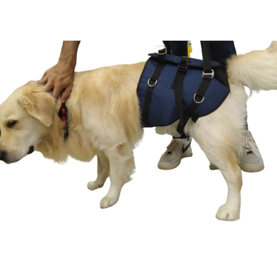 Pet Glam Mobility Support Harness for Old-Sick Dogs (B0CM19LMHC) Amazon Price History, Amazon Price Tracker