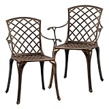 VINGLI Outdoor Dining Chairs Set of 2 Aluminum Patio Chairs, Cast Aluminum Patio Furniture Aluminum Outdoor Chairs for Backyard, Poolside, Balcony Bronze (2, Grid Back Without Cushion)