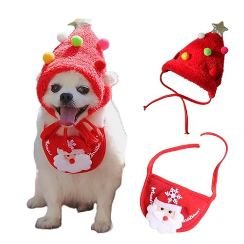 �y2025�N�̃N���X�}�XNEW�X�^�C���z�� ���^�� �L �y�b�g ���i�X�q+�悾��^�I��2�_�Z�b�g�j�N���X�}�X ��蕨 ���� �h�b�O�E�F�A ���� ���� �R�X�`���[�� �p�[�e�B�[ �B�e���� �v���[���g �A�N�Z�T���[ �R�X�v���L�� �ϐg (M�i4-7.5kg�j