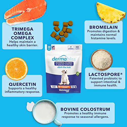 VETNIQUE Dermabliss Dog Allergy and Itch Relief, Skin and Coat Health Supplements and Grooming Supplies with Omega 3-6-9… - Image 5