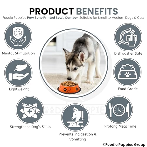 Image of Foodie Puppies Stainless Steel Dog Bowl Combo - (Medium, 700ml) Food and Water Feeding Gift Bowl | Suitable for Dogs, Cats and Other Pets I Paw Bone Print, Anti-Skid Rubber Base (White + Orange)