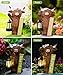 Nacome Highland Cow Garden Statue for Decor: Outdoor Sculpture with Solar Lantern and Welcome Sign for Outside Ornament Yard Art Lawn Porch Patio Balcony - Birthday Gifts for Women Mom(Brown)