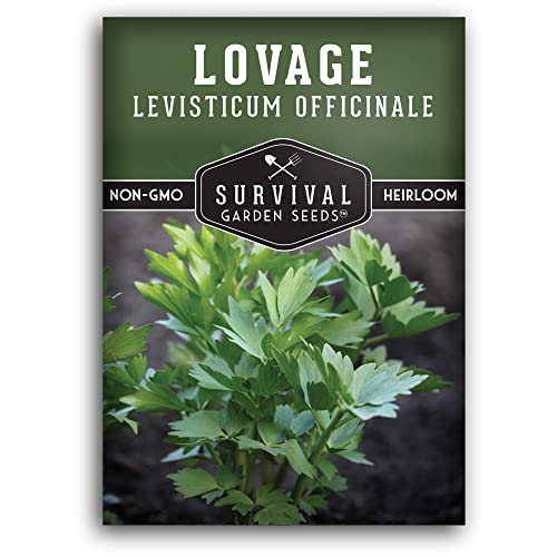 Survival Garden Seeds - Lovage Seed for Planting - 1 Pack with Instructions to Plant and Grow Perennial Levisticum Officinale Culinary Herb in Your Home Vegetable Garden - Non-GMO Heirloom Variety